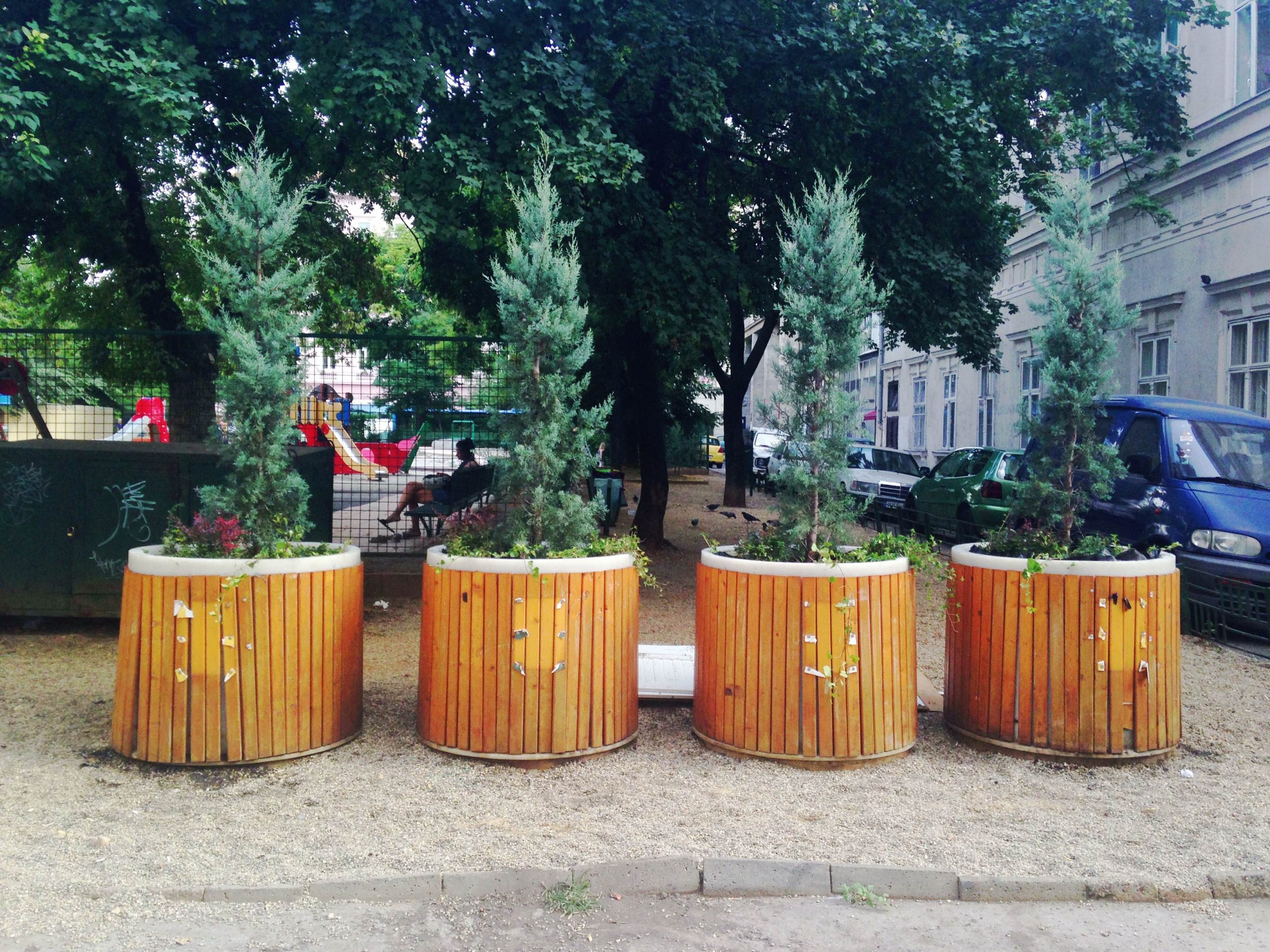 Megint fát ültettek a szelektívbe a Belvárosban