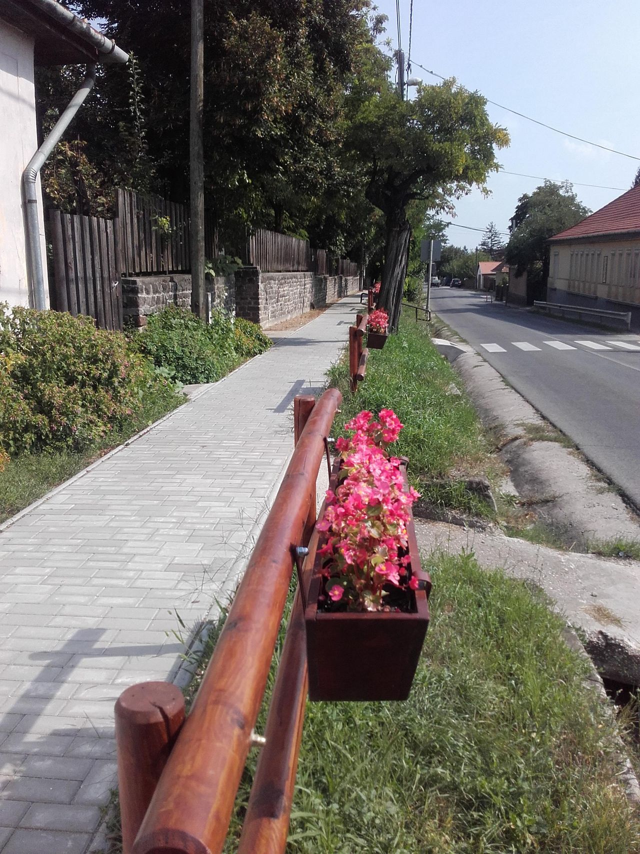 Virágos ládák és új padok Szentendrén