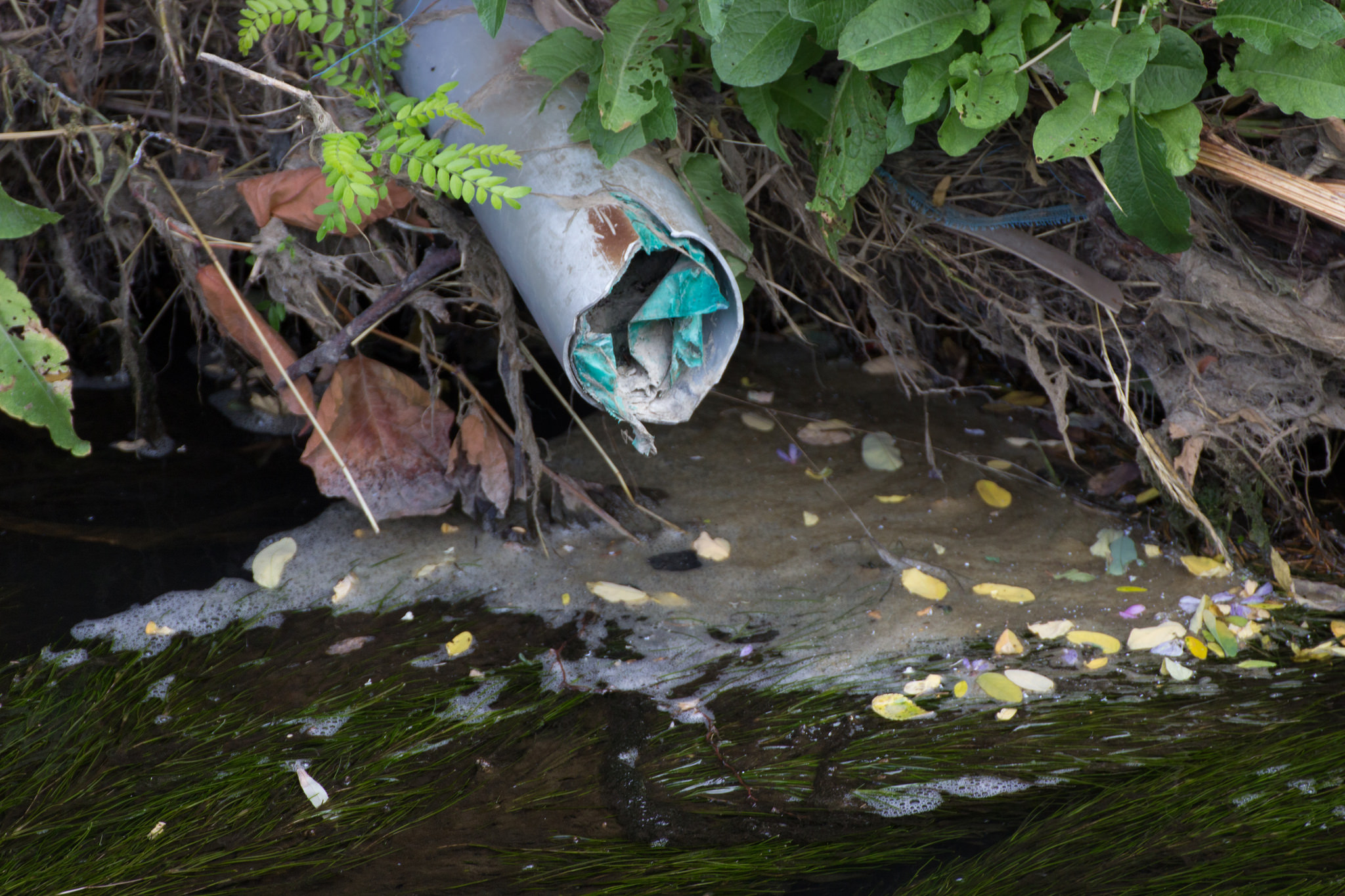 Hangulatos a 41-es vonala, de meddig marad így?