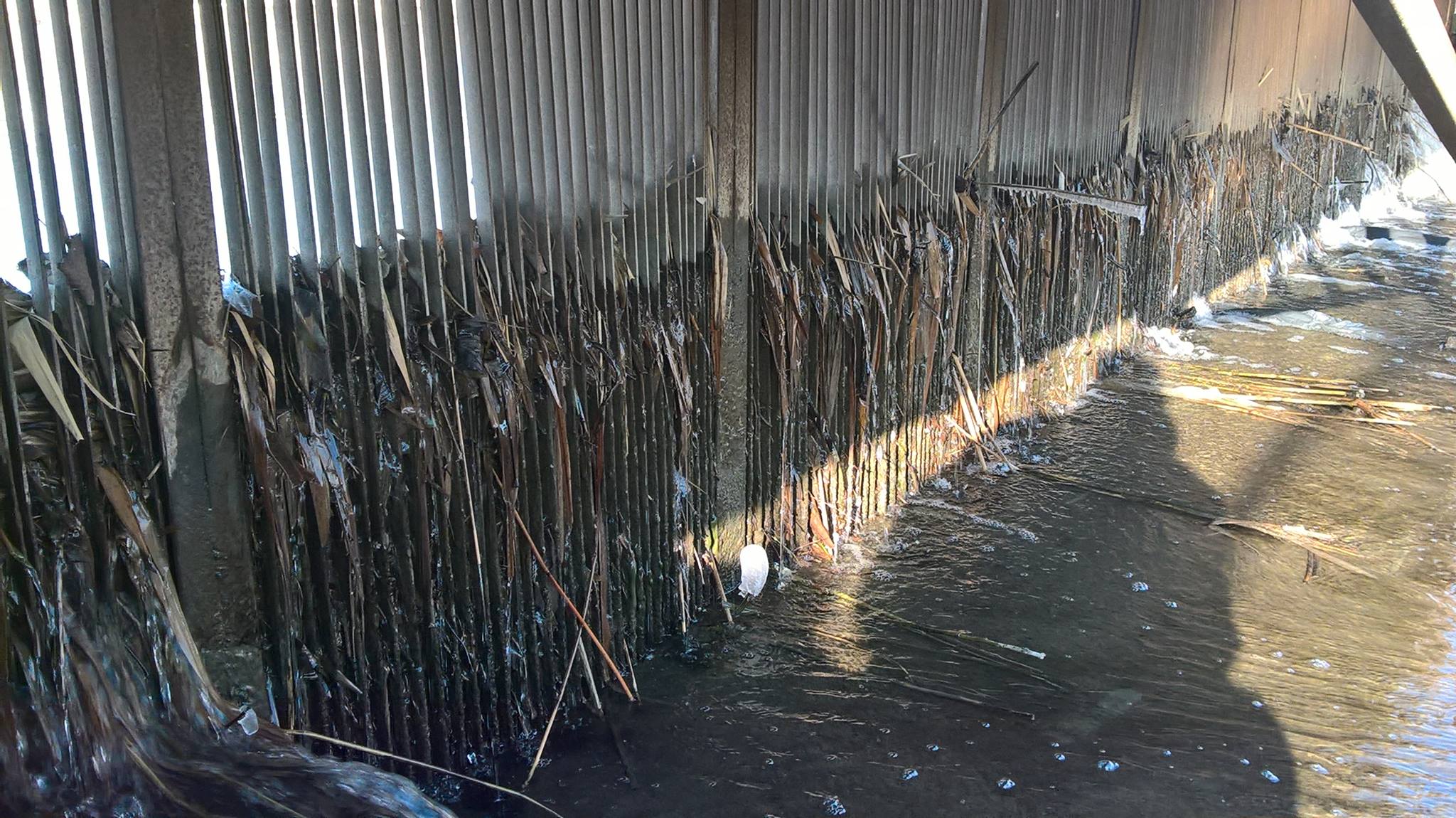 Eltűnt egy XI. kerületi tó üzemeltetője, az önkormányzatnak kell takarítania a cég után