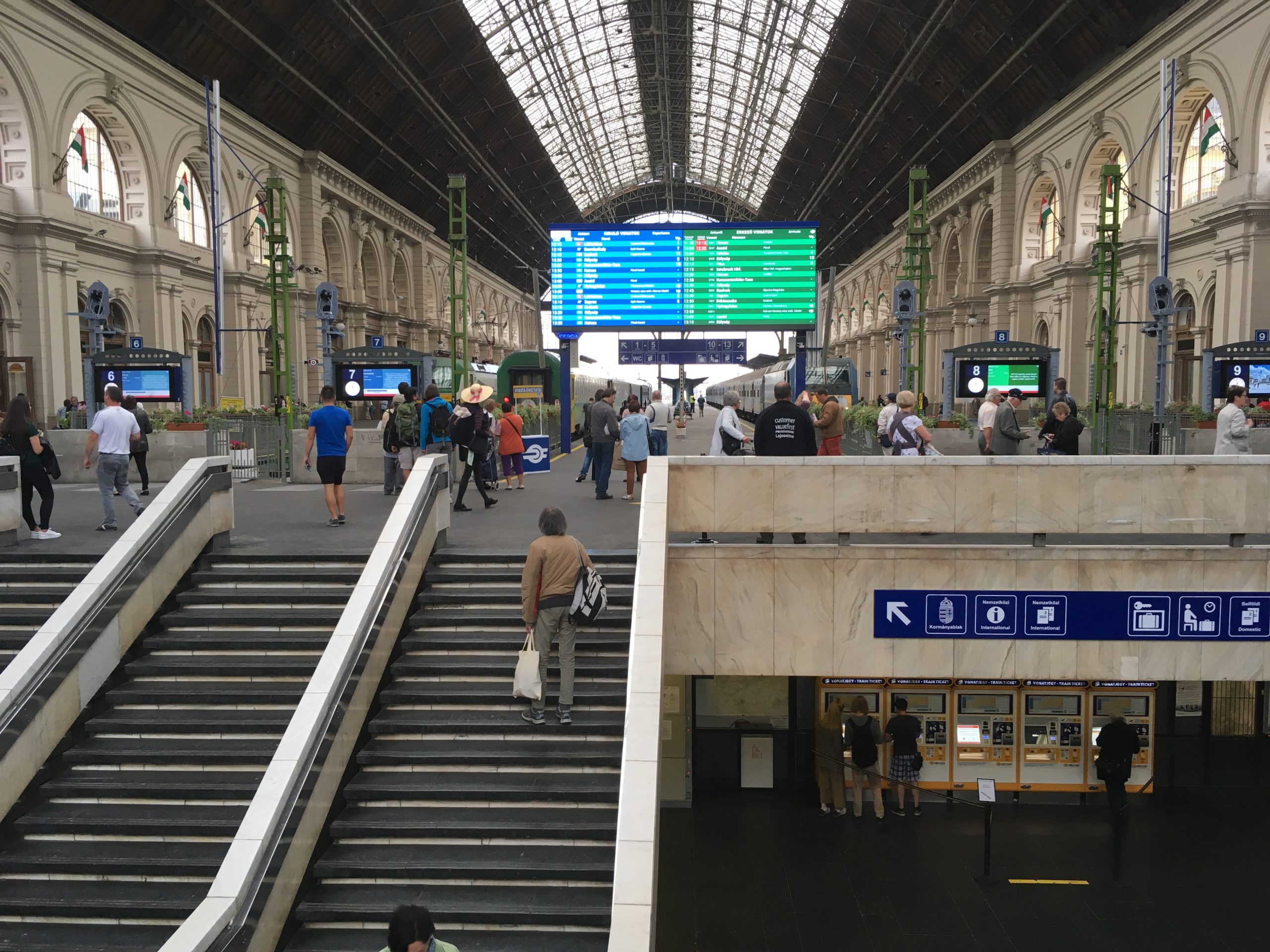 Cicamosdás a Keleti pályaudvar épületében (GALÉRIA)