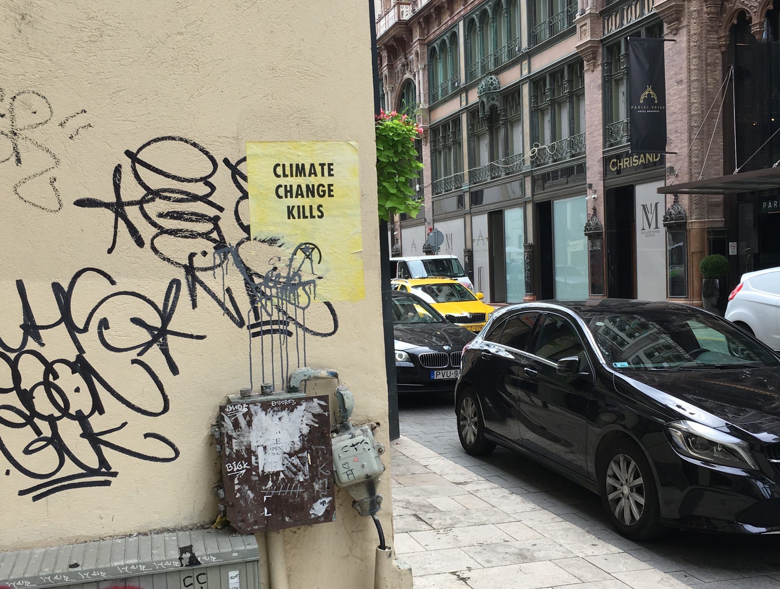 Pusztulnak a városban a gesztenyefák és ez még csak a kezdet