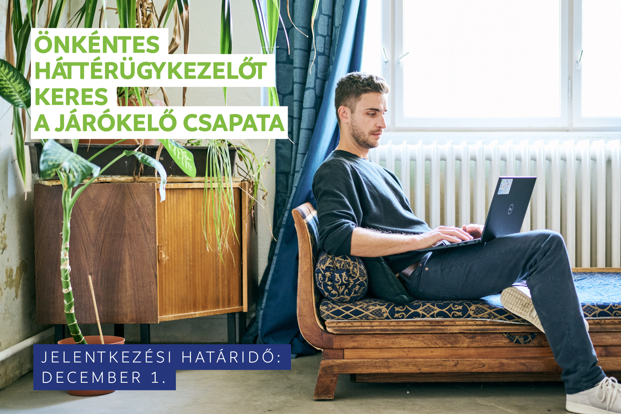 Önkéntes háttérügykezelőt keresünk a Járókelő csapatába