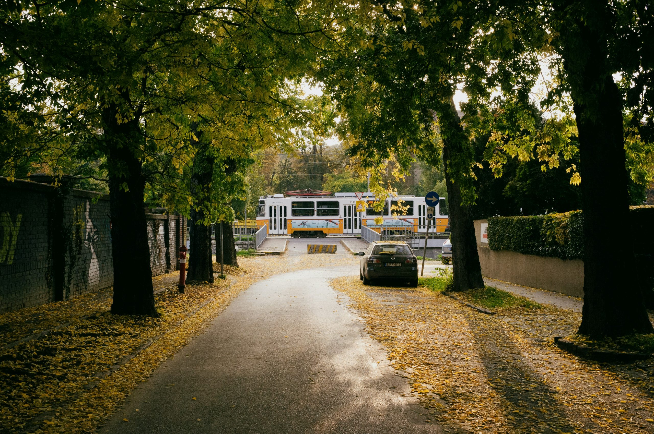 Több zöldet a városba, több vizet a talajba