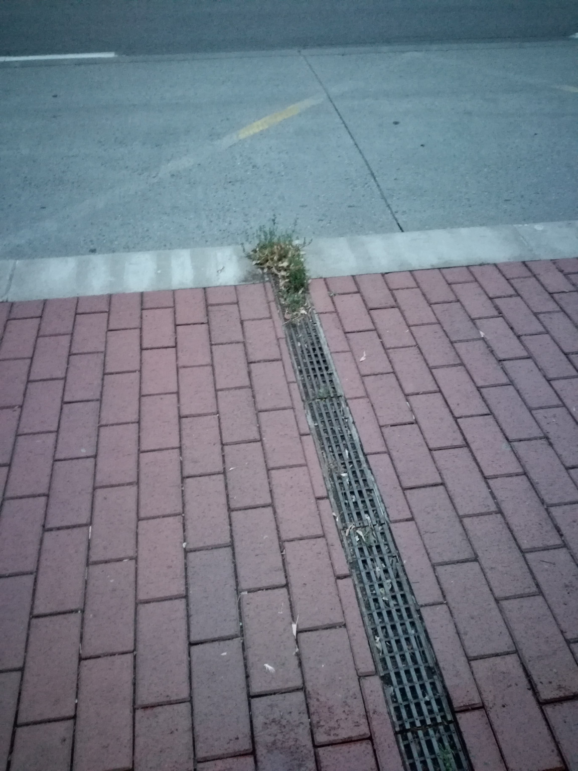 Így nézett ki előtte. 