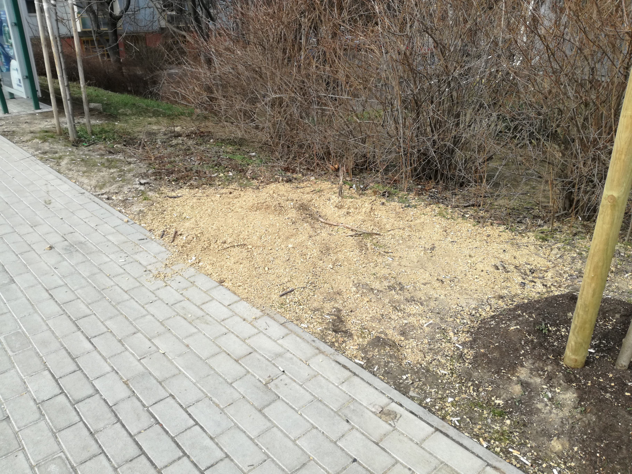 Mínusz egy felesleges tönk. 