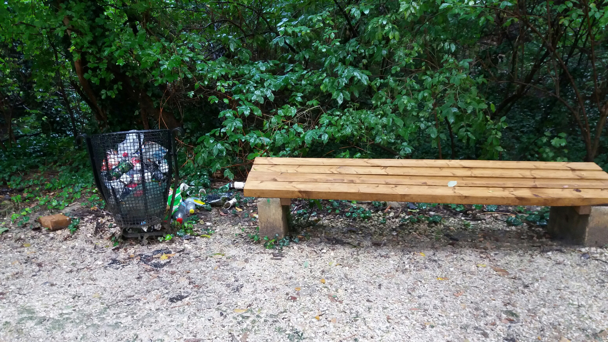 az új ülőhely már a sikeres bejelentés eredménye 