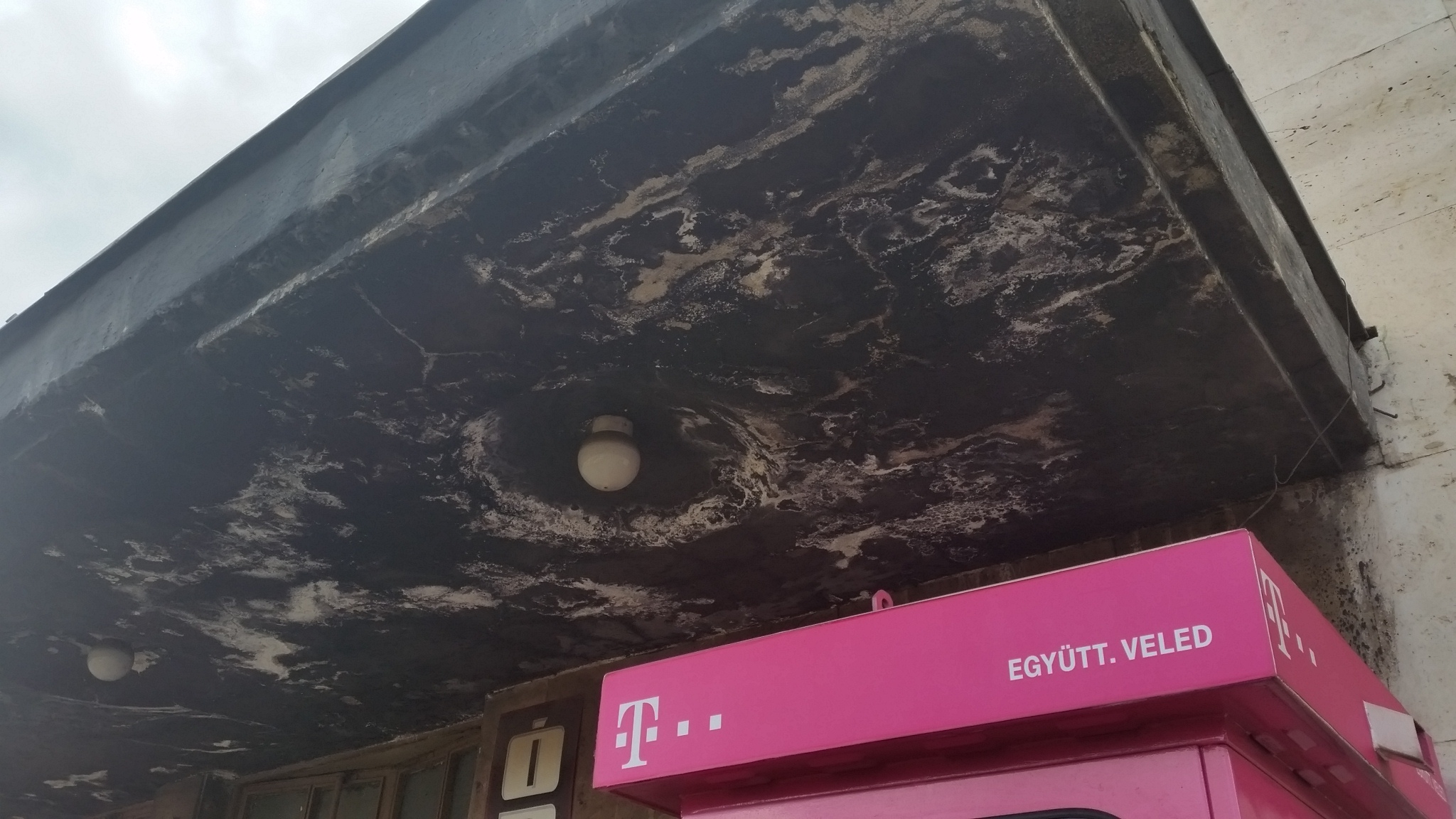 Fotó: S-N Szabolcs. https://jarokelo.hu/10965