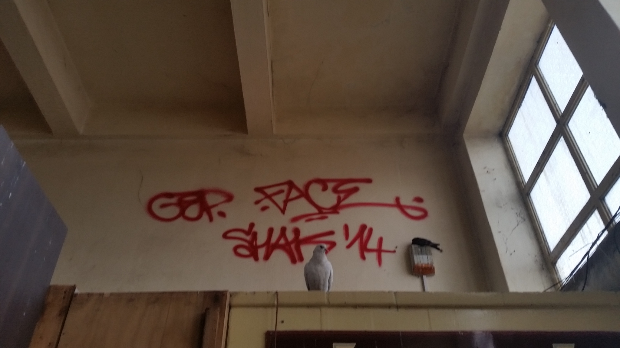 Fotó: S-N Szabolcs. https://jarokelo.hu/10965