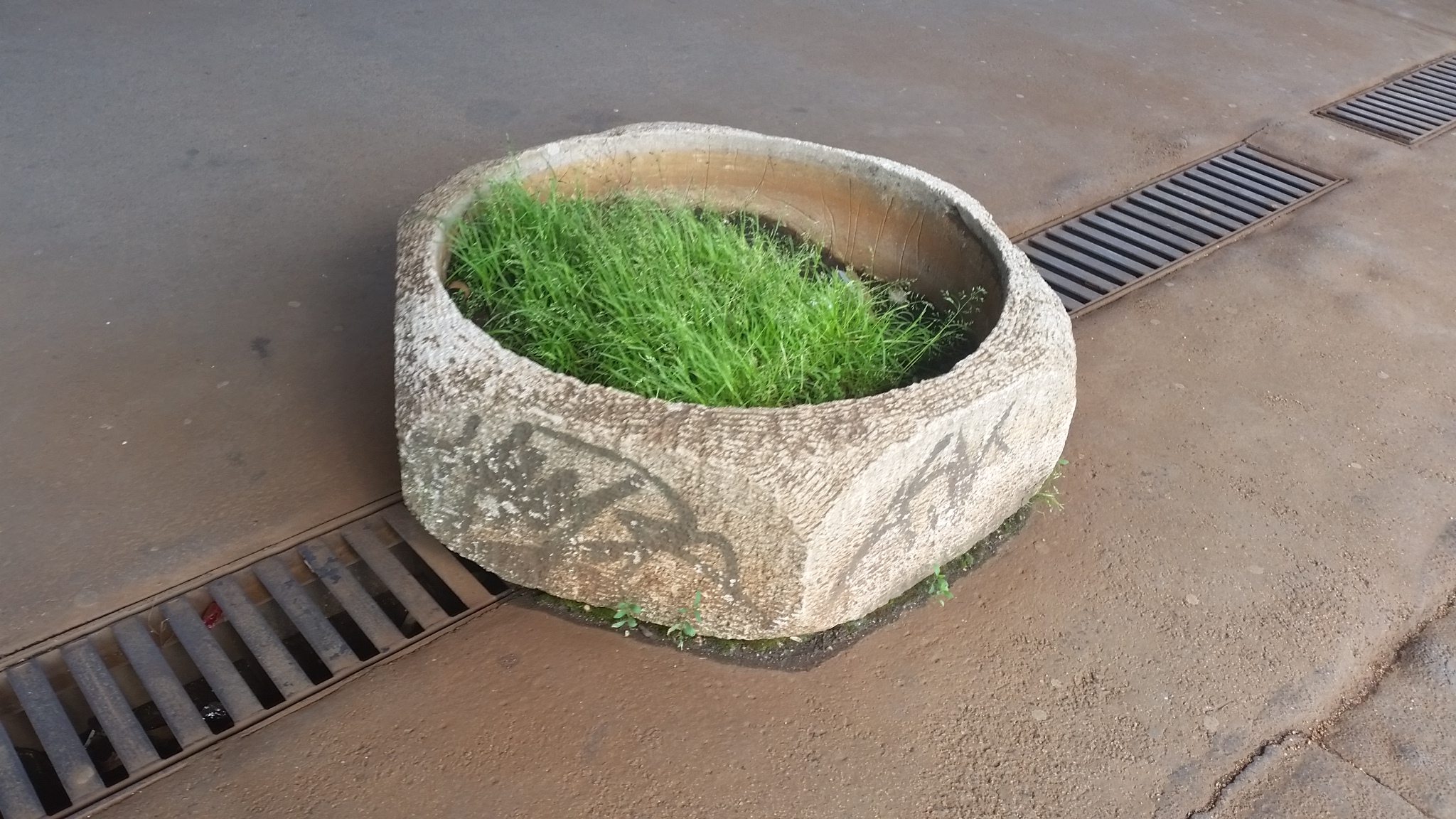 Fotó: S-N Szabolcs. https://jarokelo.hu/10965