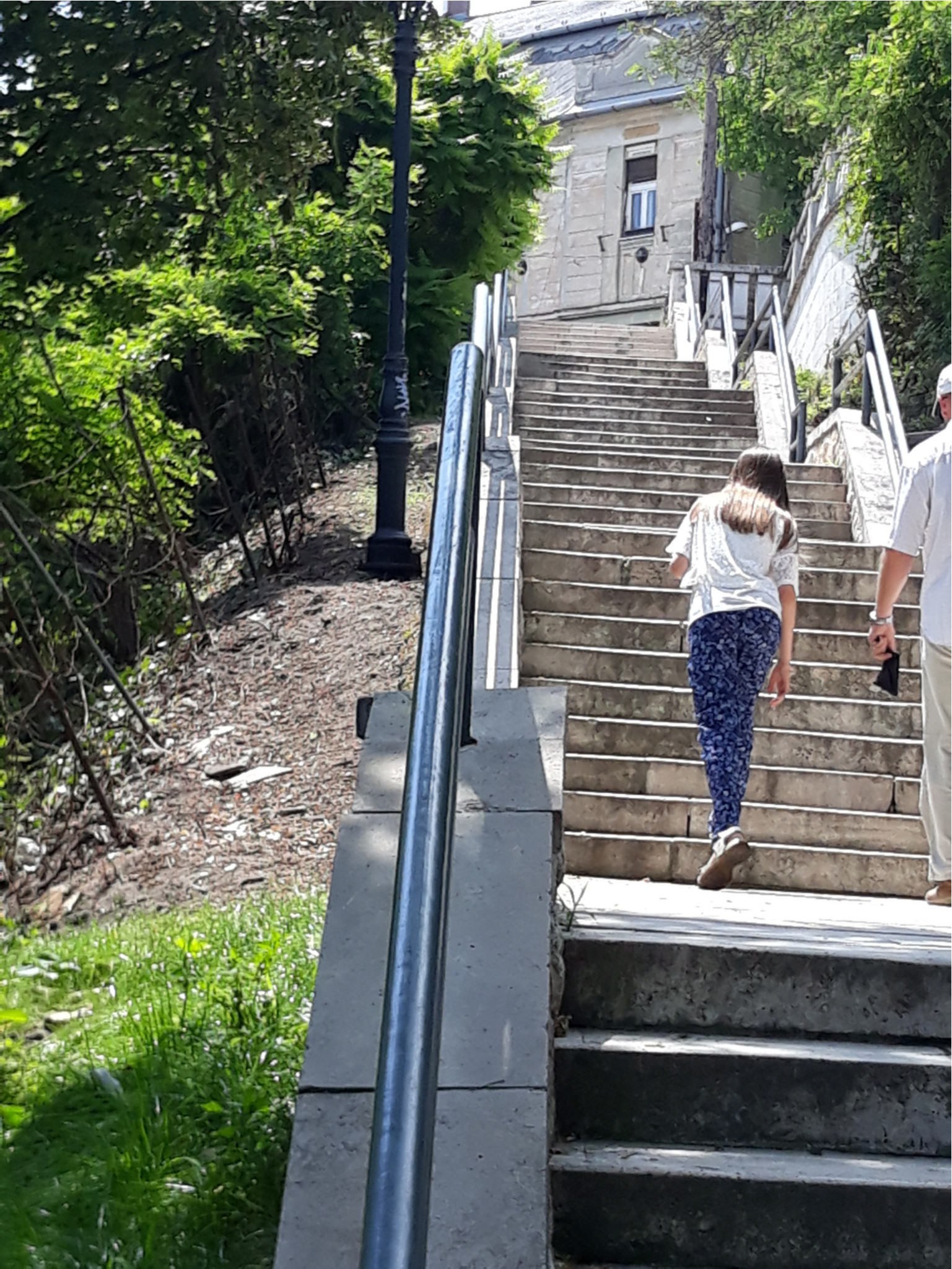 Kivágtak minden növényt. 