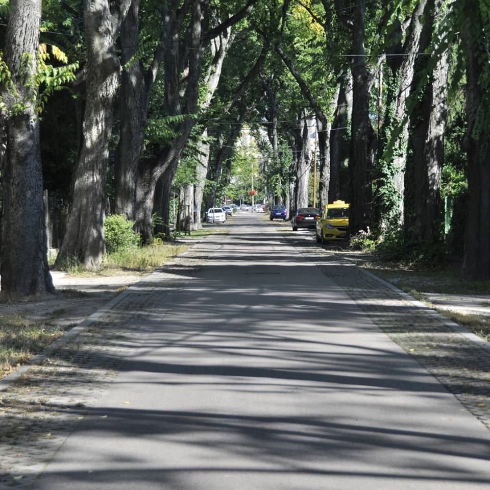 Az úttestek fizikai kialakítása mellett optikai megoldásokkal is lehet befolyásolni az autósok vezetési stílusát. Az utcák felezővonalának eltávolítása és a sávok keskenyítése a lassabb haladásra ösztönöz, és segít az alacsonyabb sebességhatár betartásában. XIX. kerület Szent Imre utca 