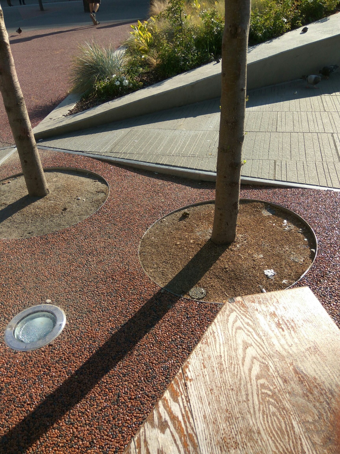 Fotó: Babus Csaba<br />https://jarokelo.hu/23421 