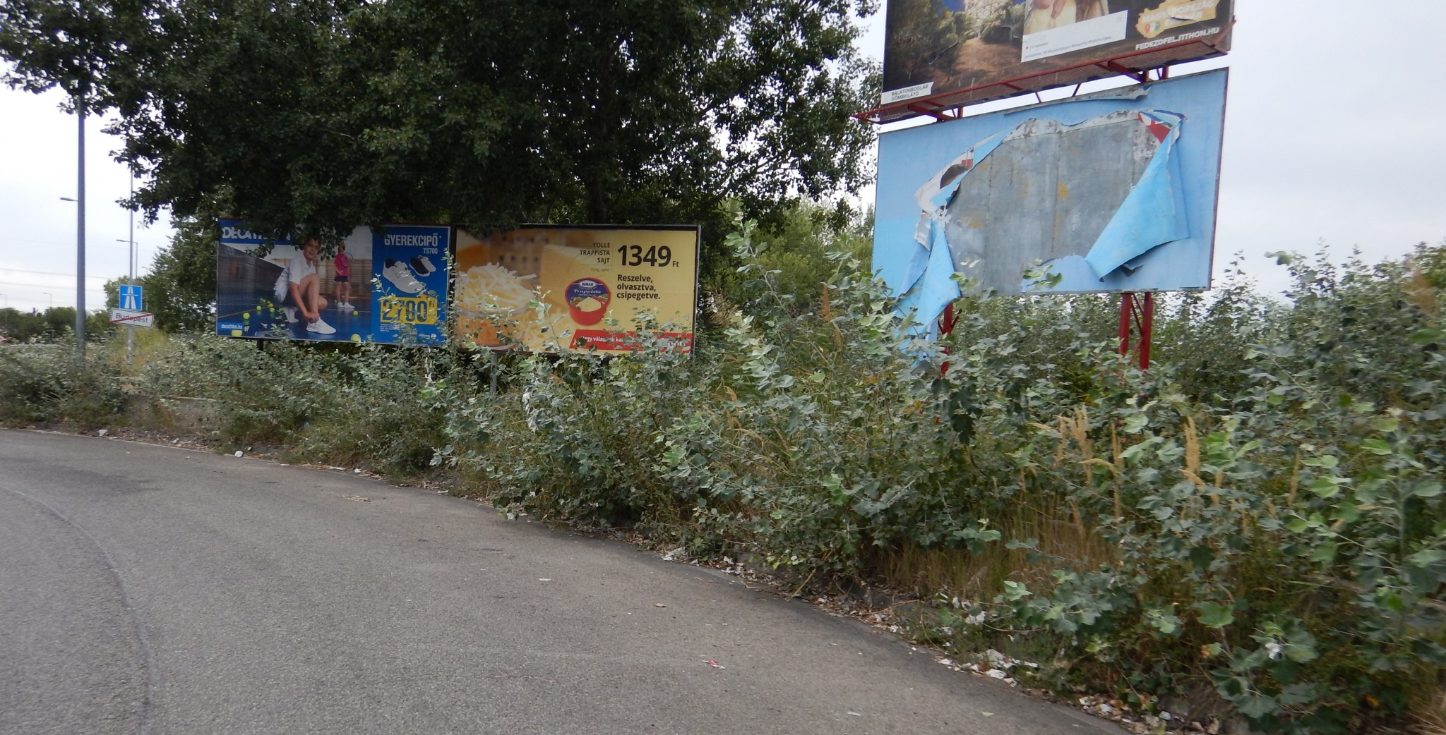 Felhasználónk XVIII Béla képe