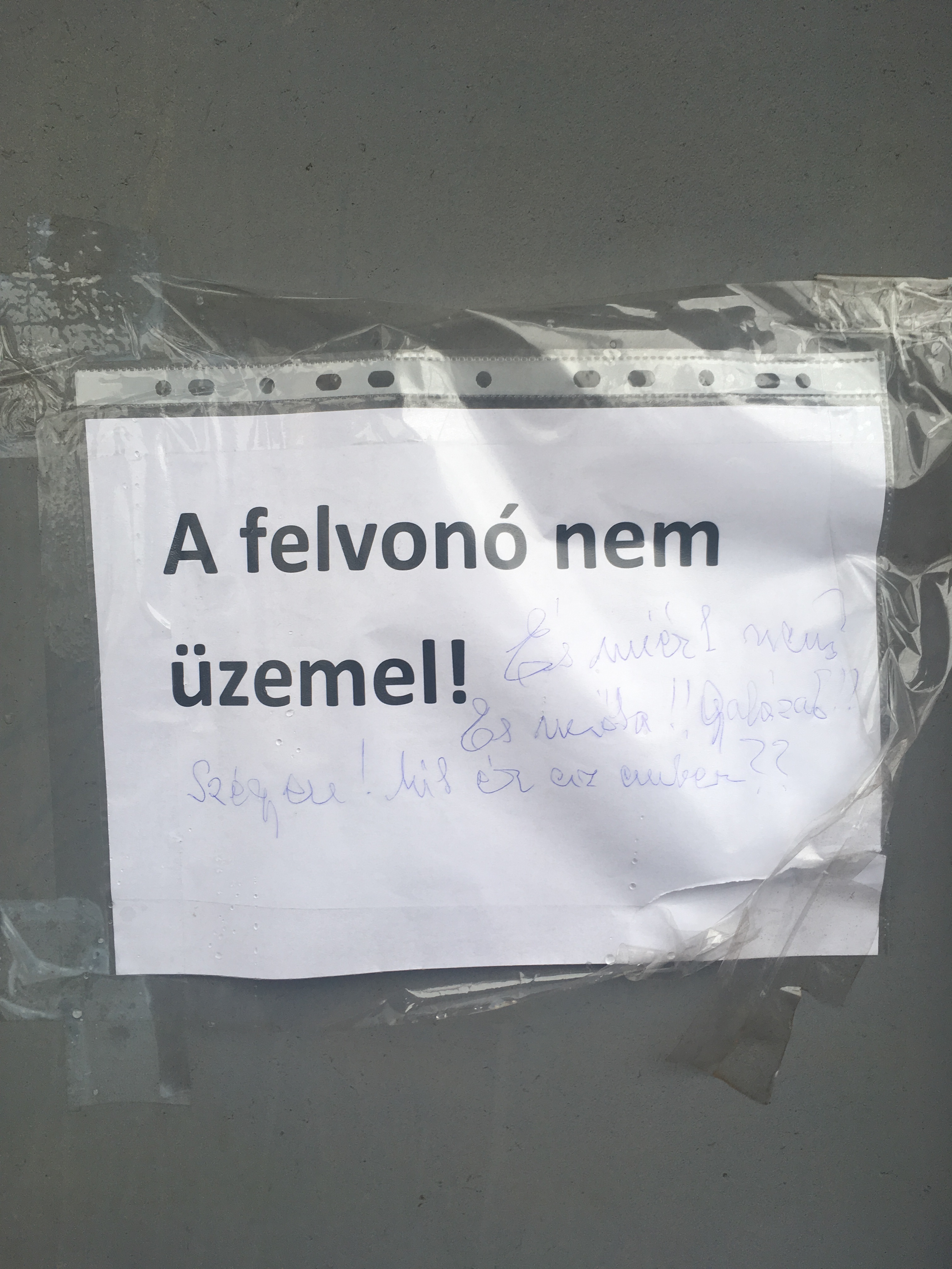 Fotó: Le Marietta, 2018