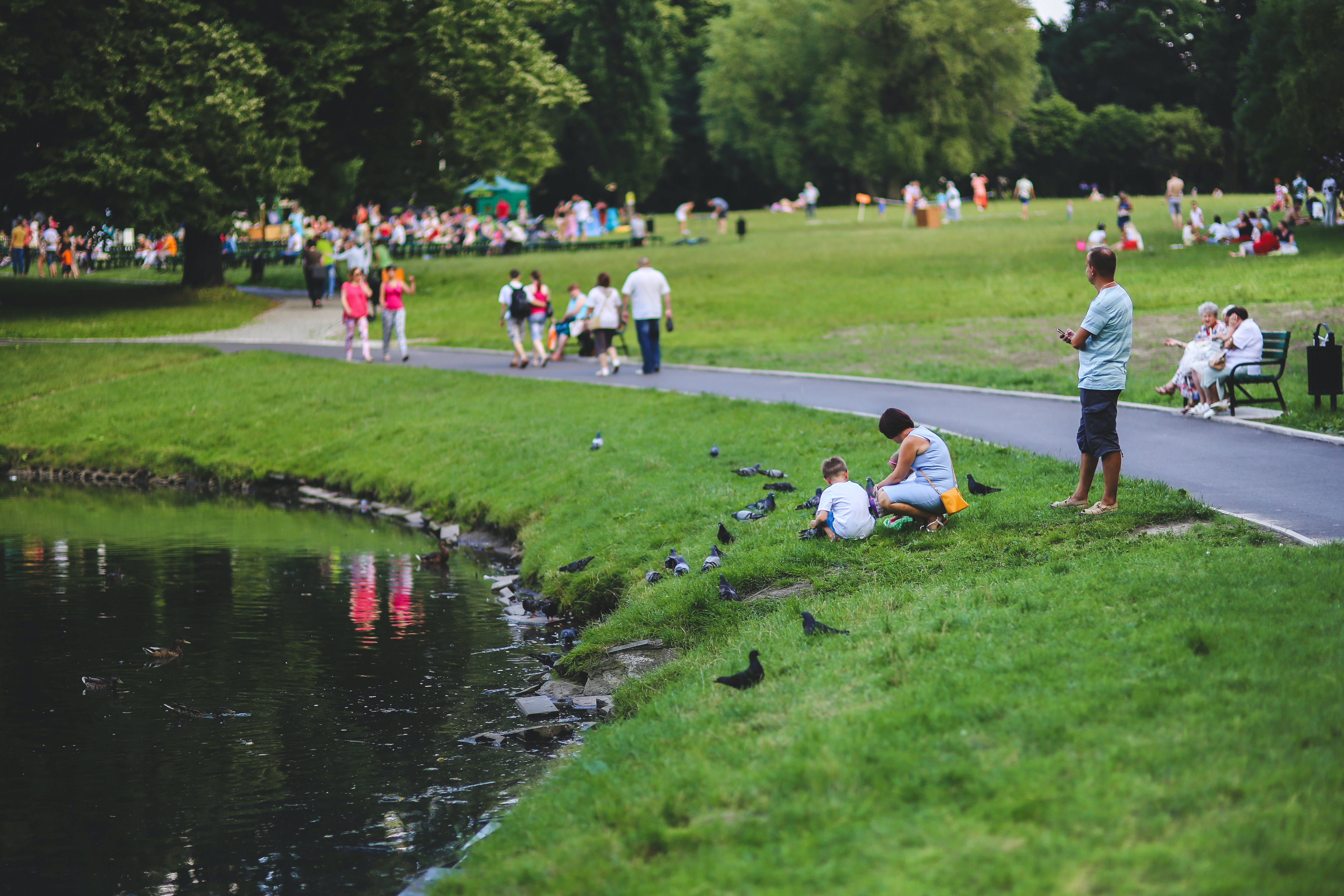 park_1.jpg