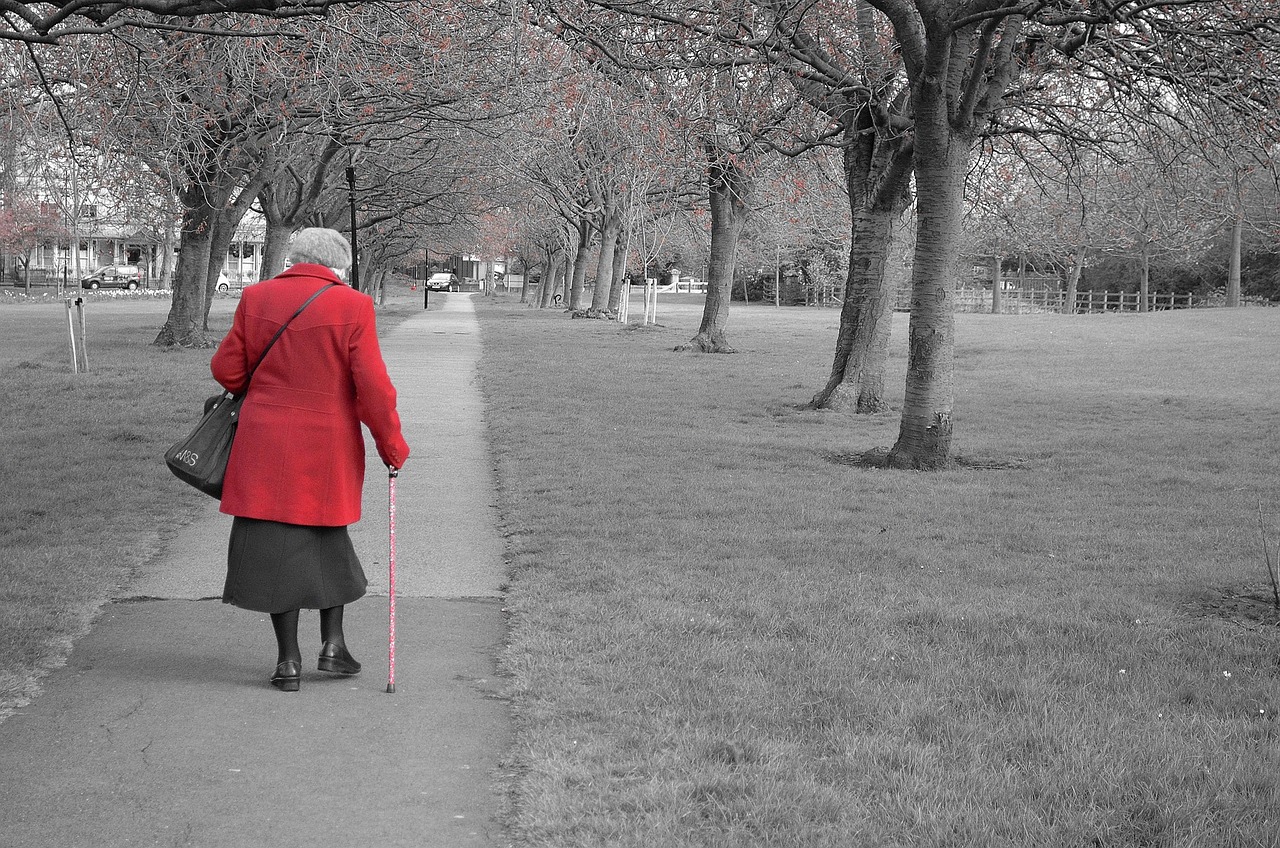 walking-gb0199ba12_1280.jpg