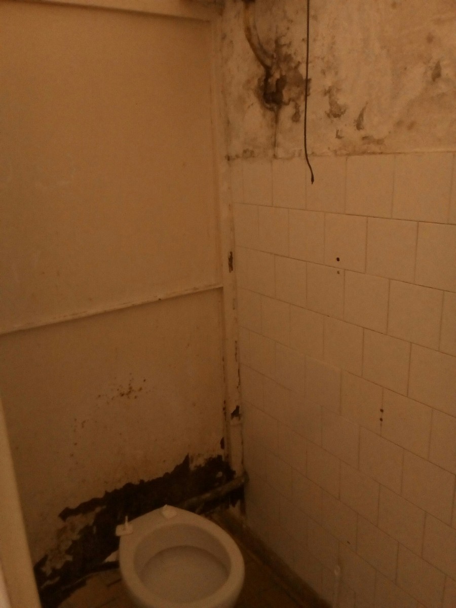 A női wc Rákospalota-Újpest vasútállomáson, 2018. május 30. jarokelo.hu/31154 (Fotó: Szendefy Áron)