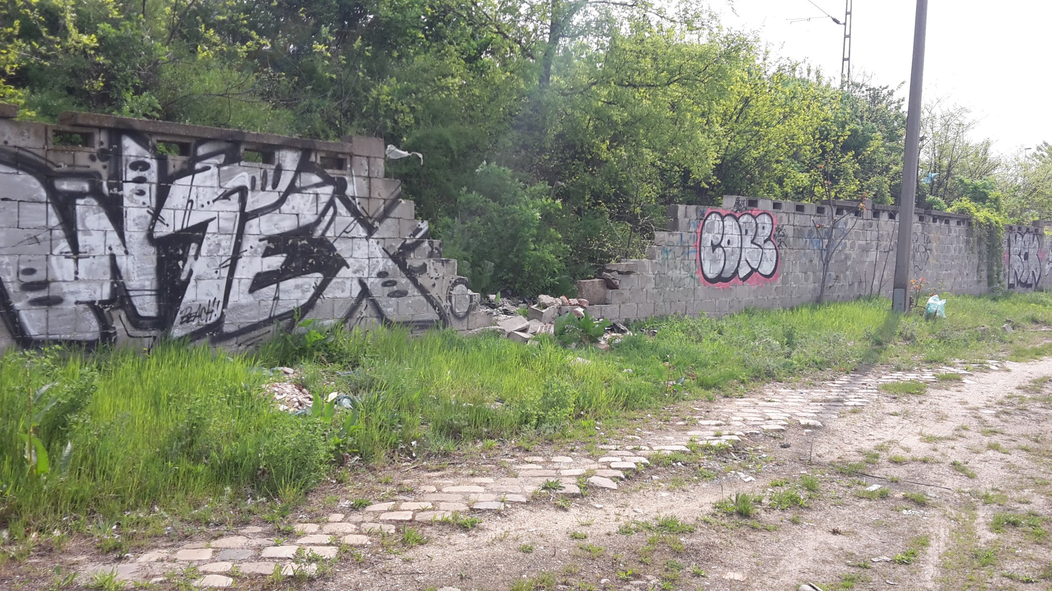 Omladozó, összefirkált és bozótos fal Kőbánya alsó vasútállomásnál, a Mázsa téren, 2017. április 11. jarokelo.hu/19781 (Fotó: Német Zs.)